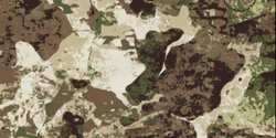 WASP I Z2 Camouflage