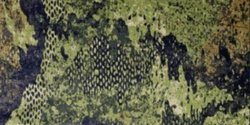 WASP II Z3a Camouflage