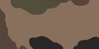 CCE