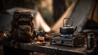 Gas Stoves