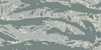 Digital Tiger Stripe