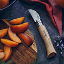 Opinel N°07 Chestnut Garlic Folding Pocket Knife 12C27 Blade Walnut Handle