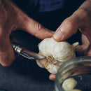 Opinel N°07 Chestnut Garlic Folding Pocket Knife 12C27 Blade Walnut Handle