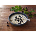 Trek'N Eat Breakfast meal Protein Porridge Dehydrated outdoor camping food
